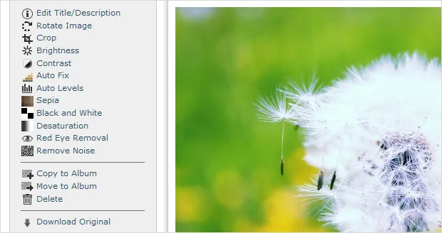 Review of the September Inbox Foto release