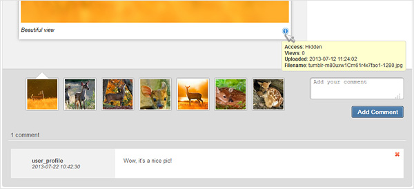 Inbox Foto: new design of the photo viewing page