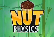Nut Physics